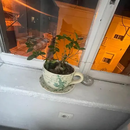 Homebs Lägenhet Shkodër